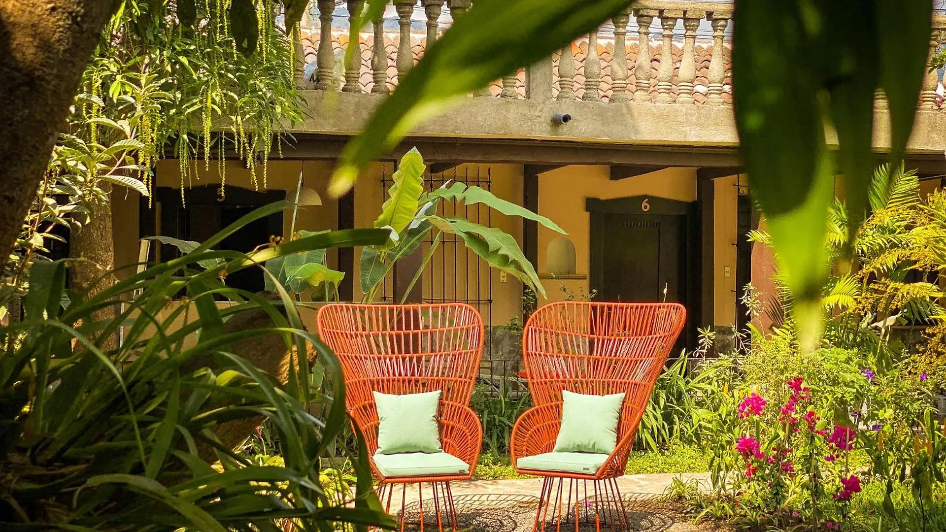 Bloom Hostel Antigua Guatemala